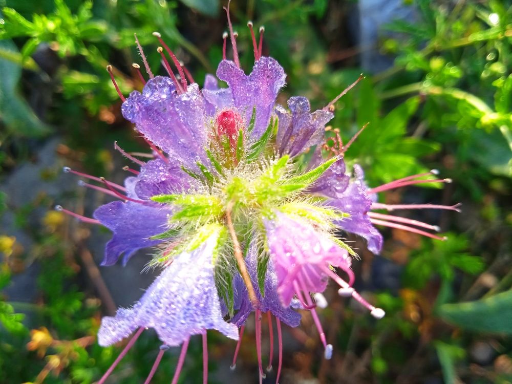 Photograph by Наталья Сорокина