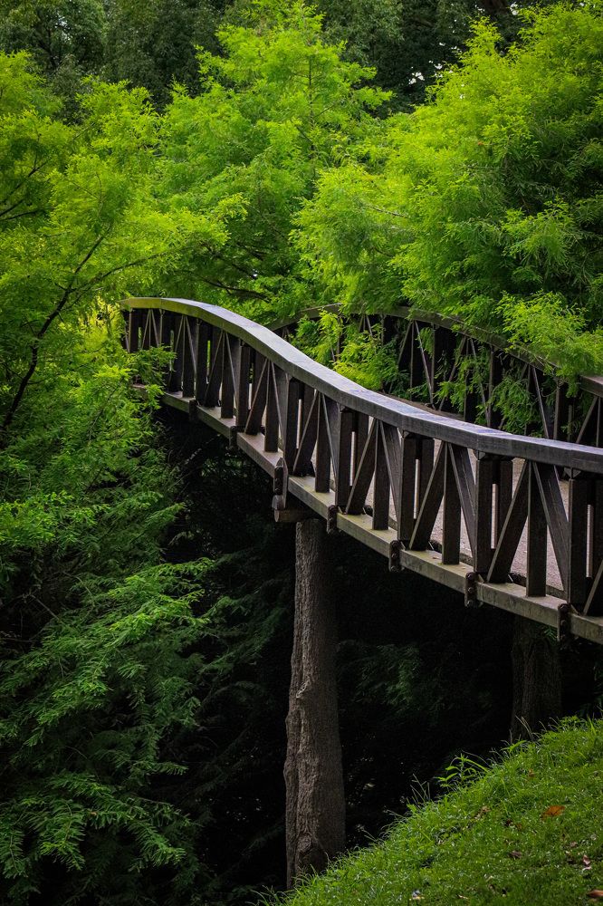 Photograph by Екатерина Нальгиева