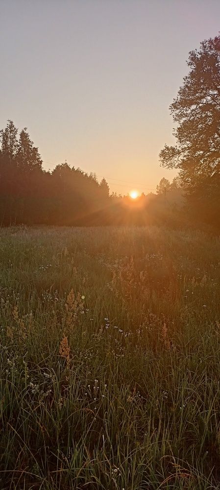 Photograph by Роман Шмаков