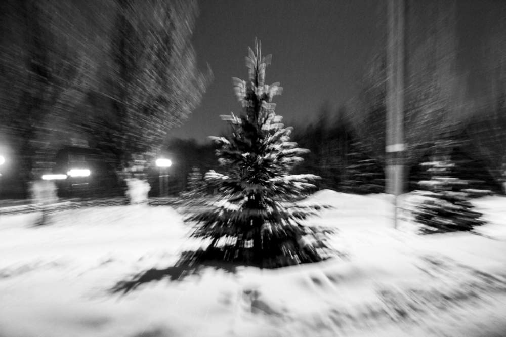 Photograph by Дегтярёв Геннадий Викторович