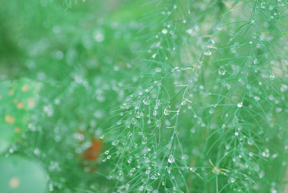 Photograph by Оксана Трофименко