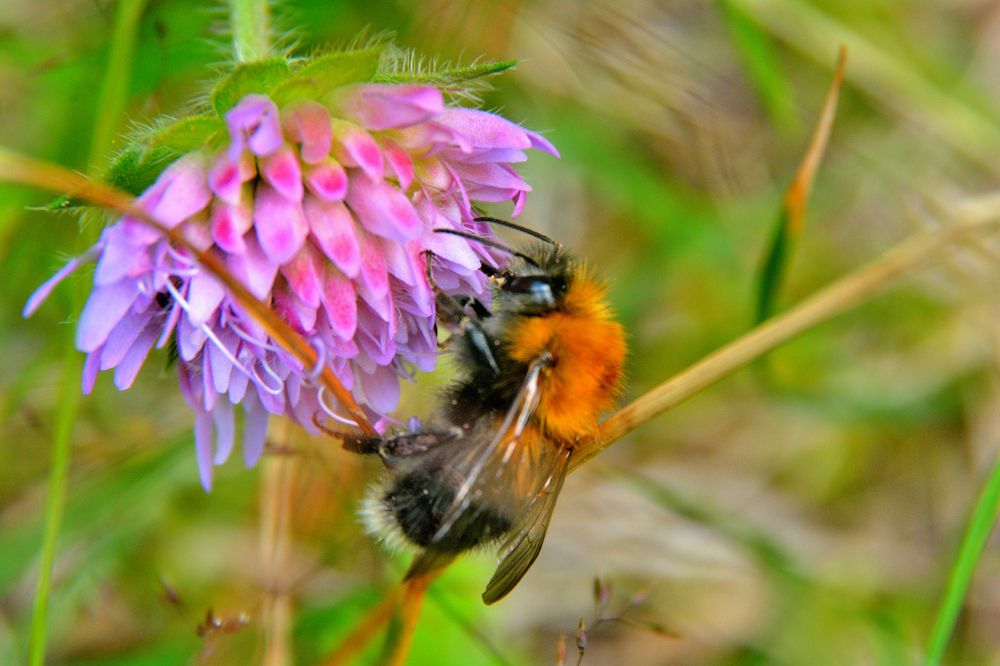 Photograph by Александр Зуев