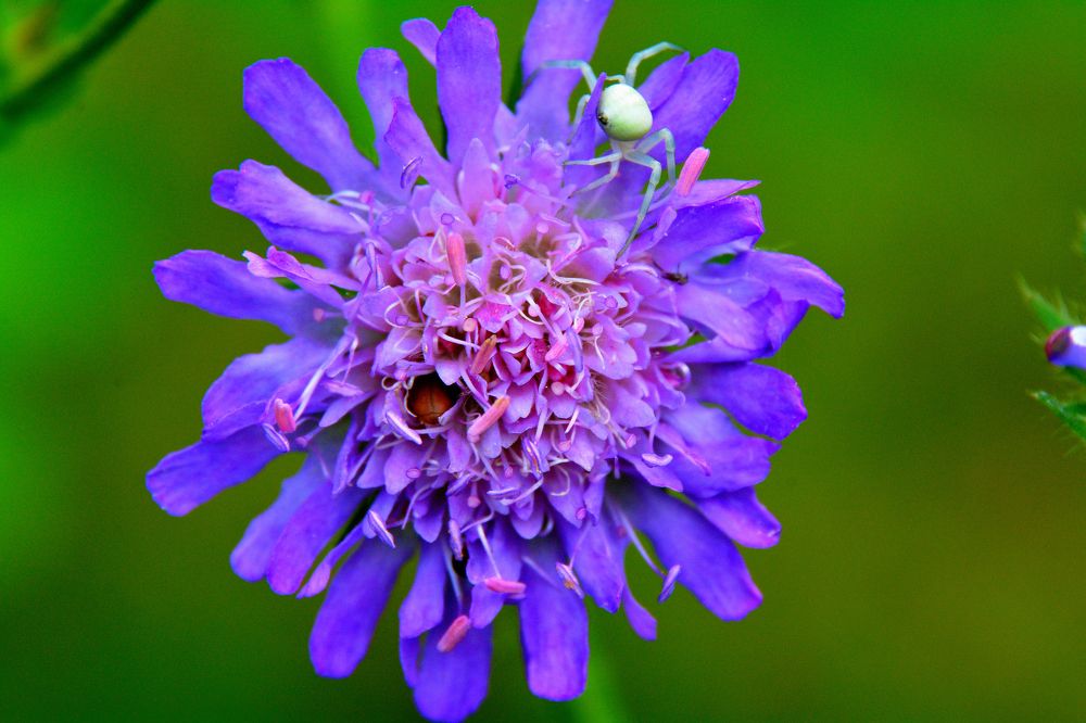 Photograph by Александр Зуев