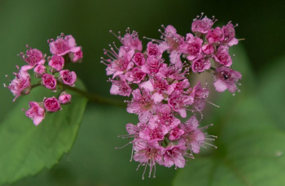 Photograph by Олег Волков