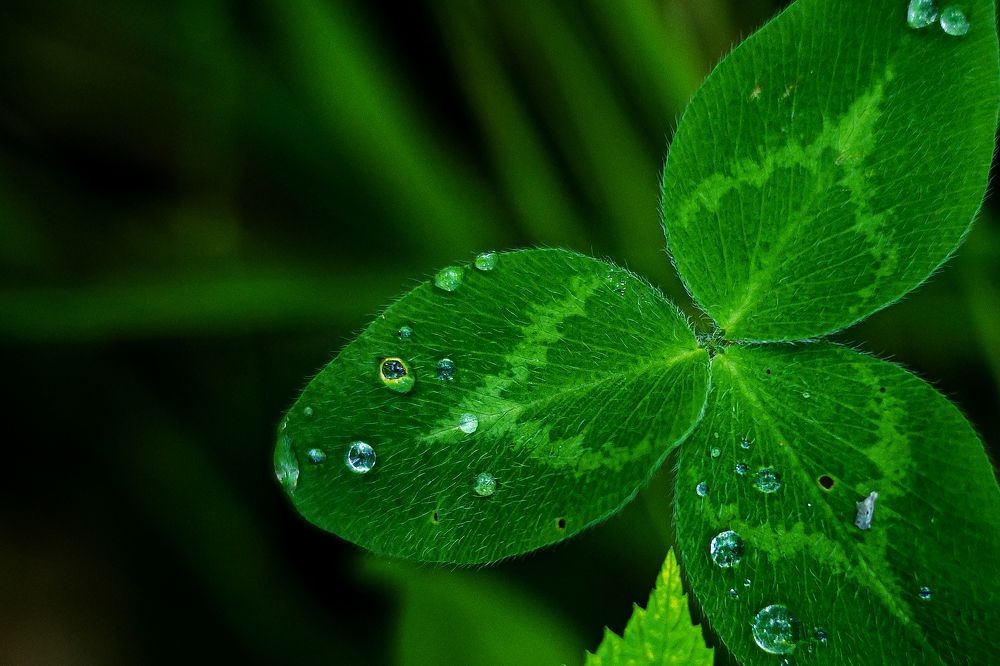 Photograph by Ольга Панова