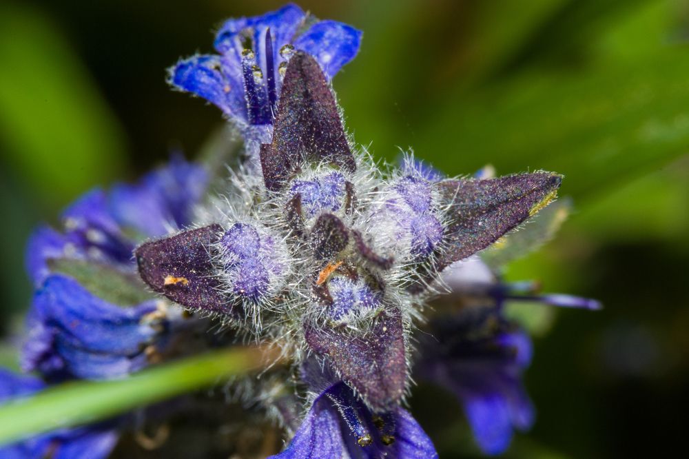 Photograph by Олег Алексеев