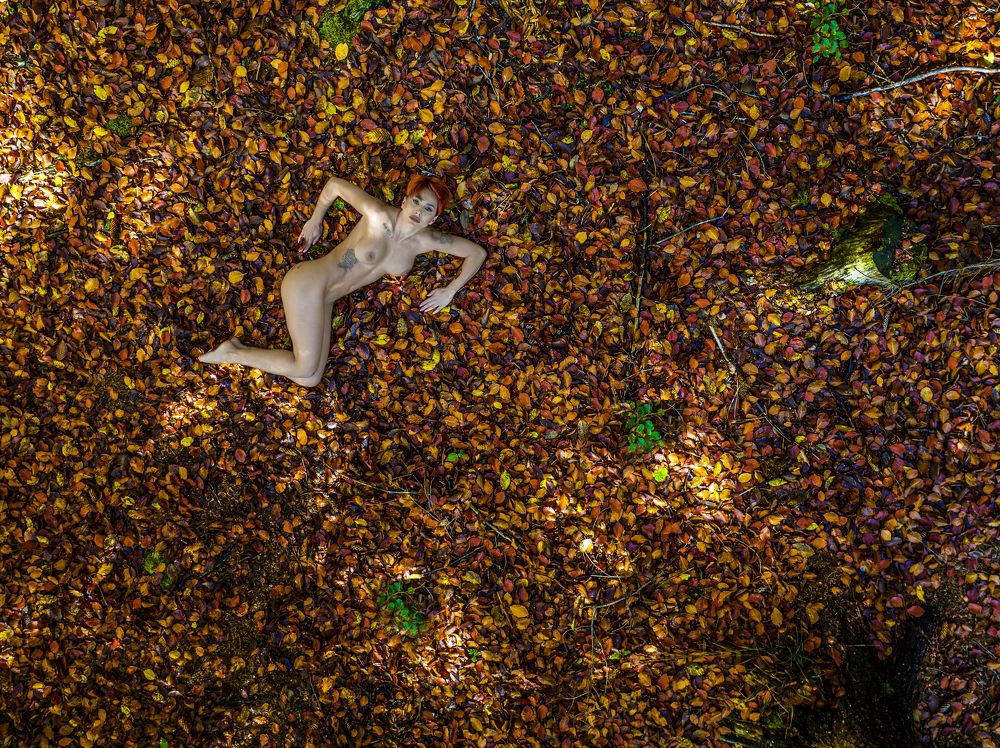 Photograph by Ovi D Pop