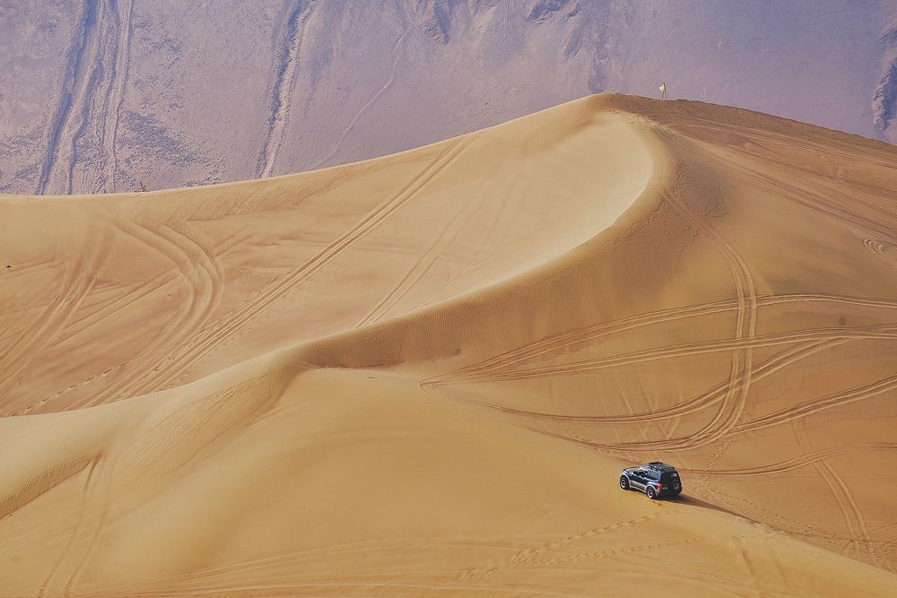 Photograph by Ovi D Pop