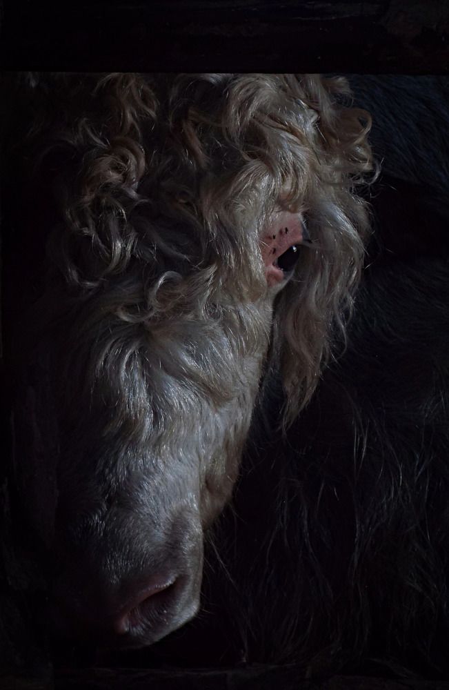 Photograph by Дарья Толстых