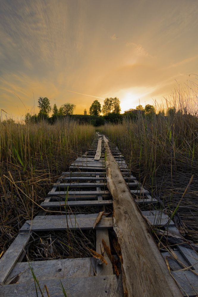 Photograph by Олег Бережных