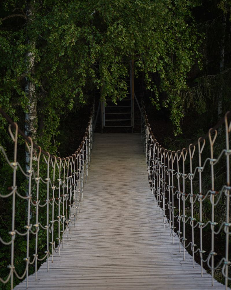 Photograph by Олег Бережных