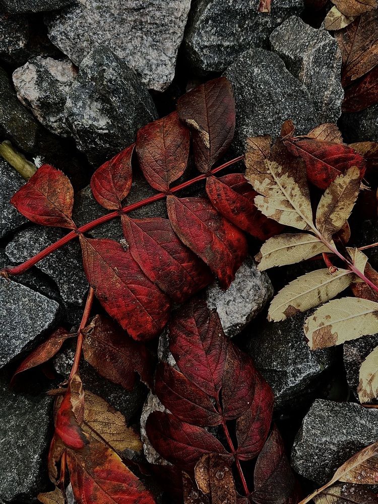 Photograph by Юлия