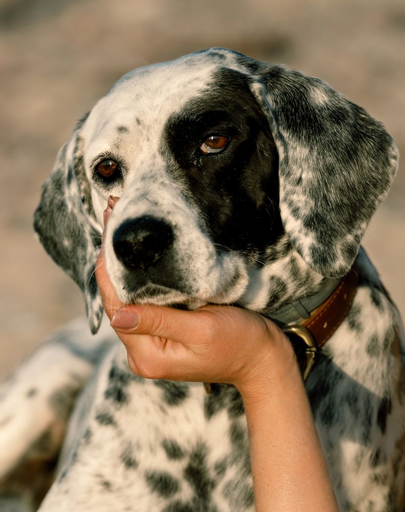 Photograph by Julija Lurina