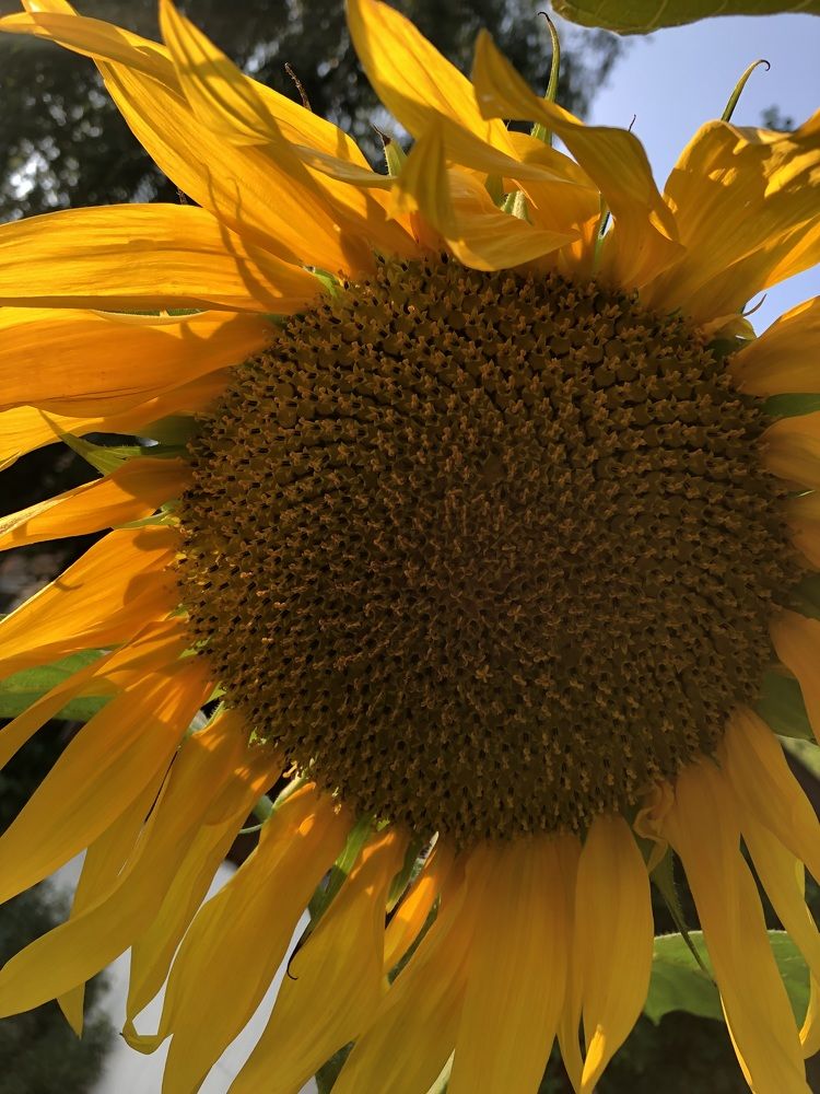 Photograph by Римма Большакова