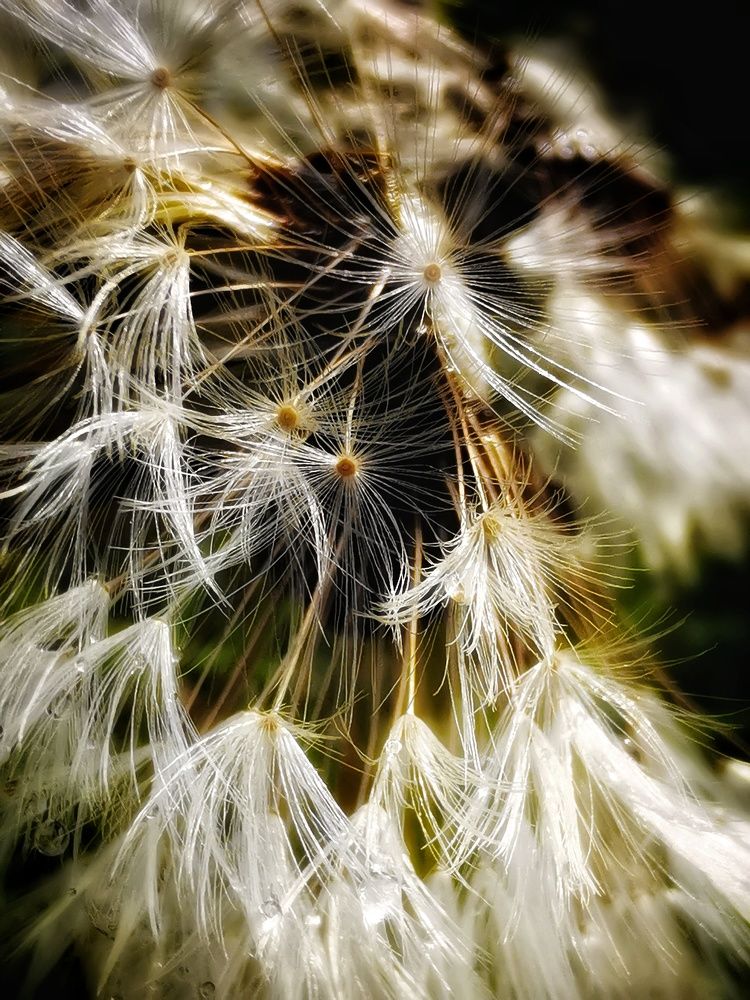 Photograph by Елена Артёменко