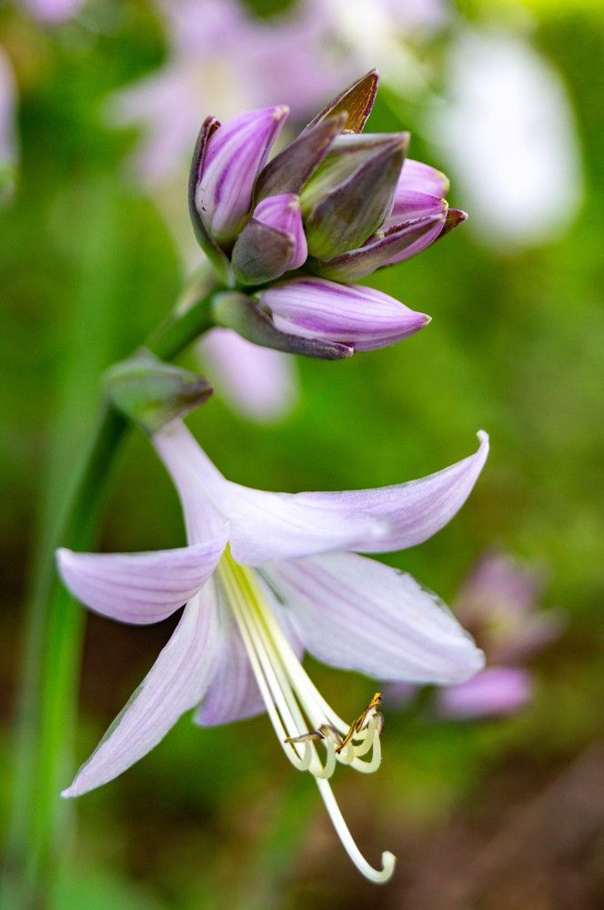 Photograph by Бабицын Алексей