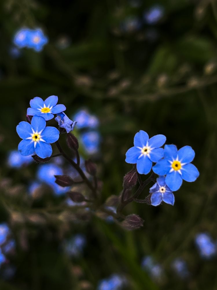 Photograph by Anastassija Tšernjajev