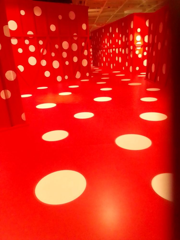 Photograph by Irina Mihailovskaya