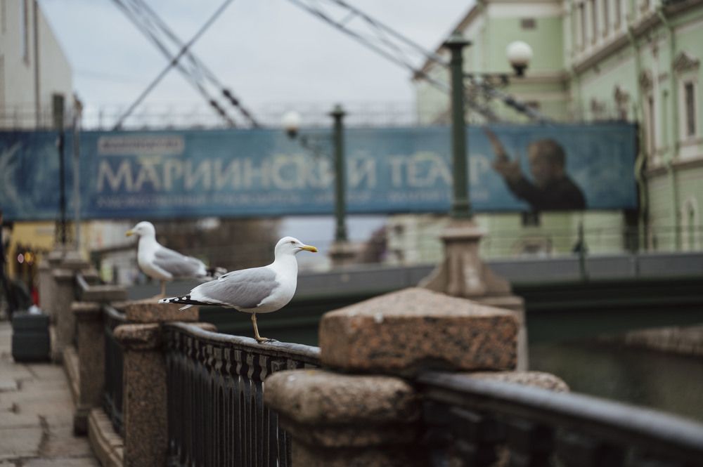 Photograph by Садилов Александр