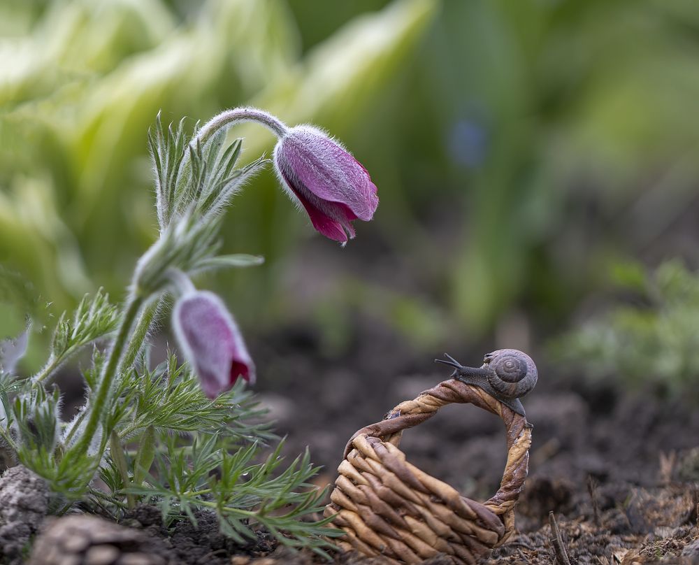 Photograph by Tatyana Fedenkova