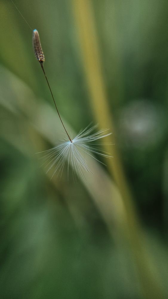 Фотография автора Olga