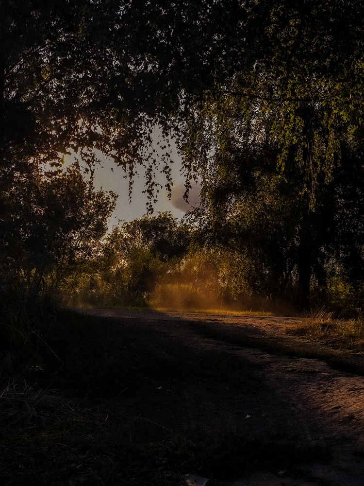 Тут похоронен мой пёс