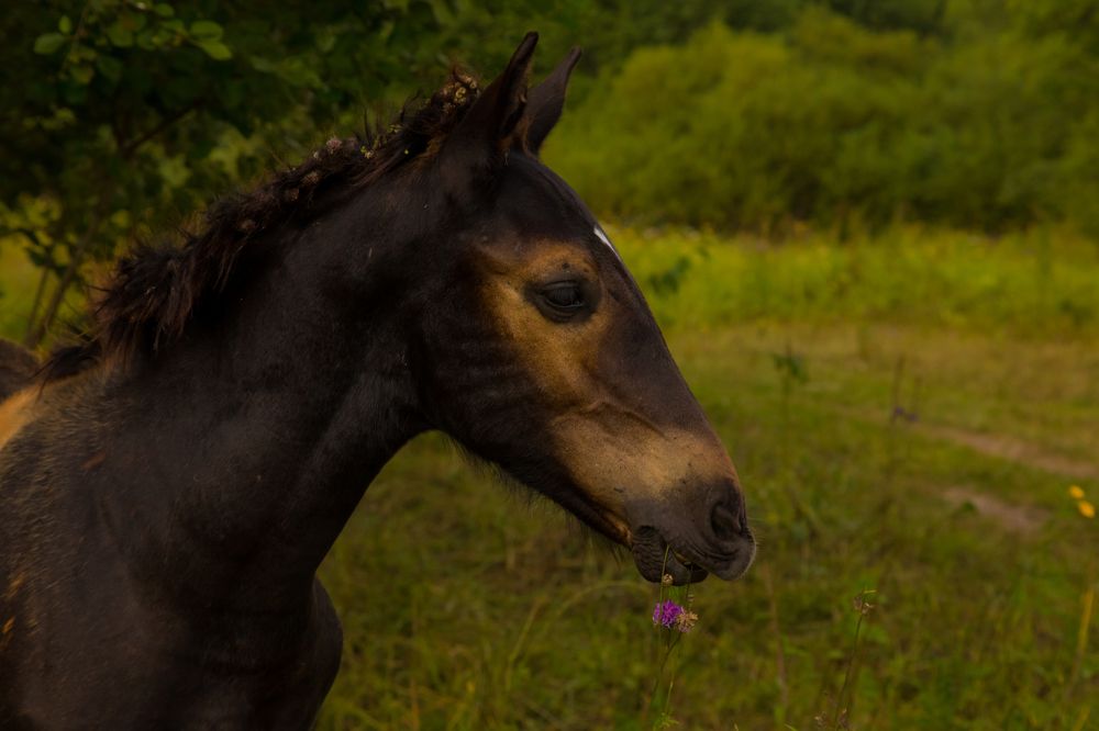 Photograph by Дмитрий Пасынков