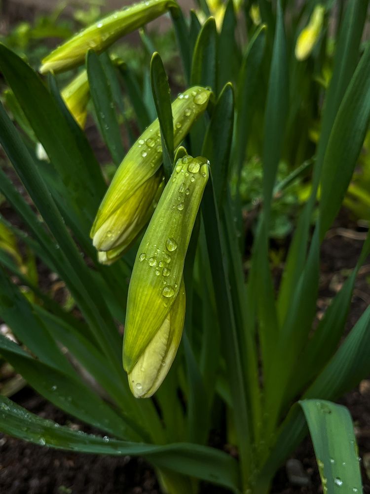 Photograph by Anastassija Tšernjajev