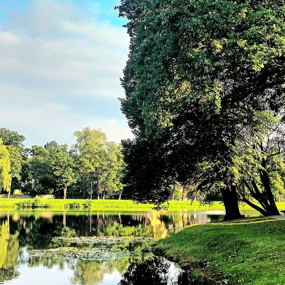 Фотография автора Maks Lanister