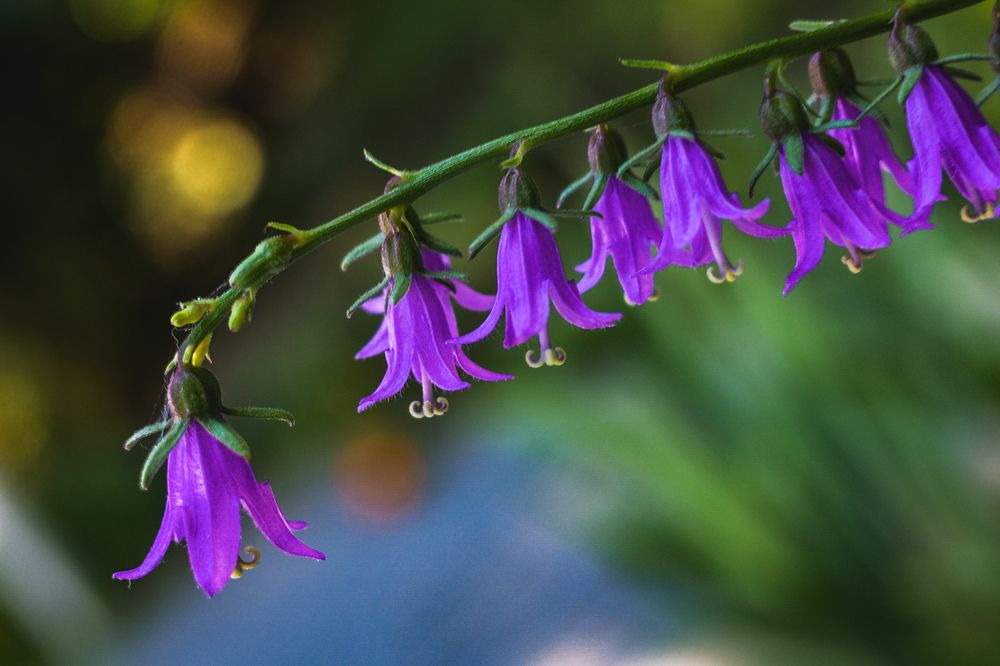 Photograph by Алла Никушкина