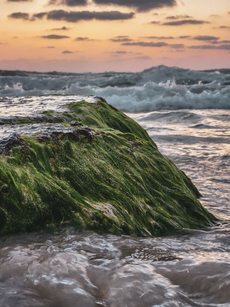 Photograph by Ahmed Ehab Akl