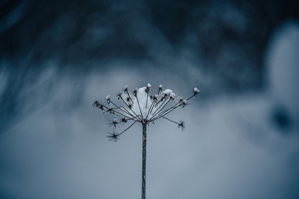 Photograph by Andrey Budylin