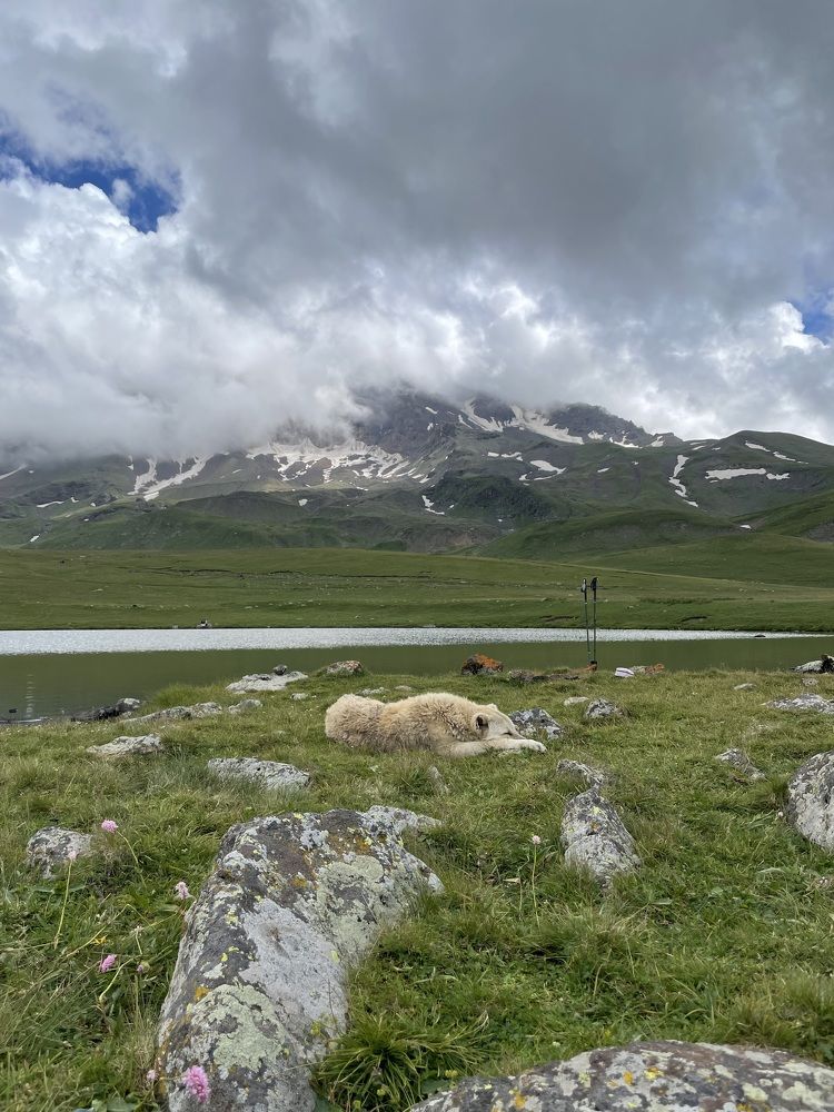 Photograph by Nane Poghosyan