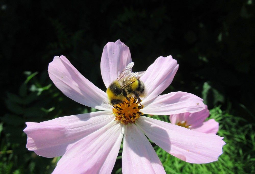 Photograph by Владимир