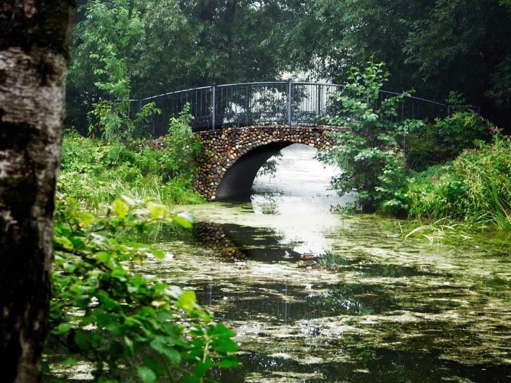 Photograph by Илюшечкина Екатерина