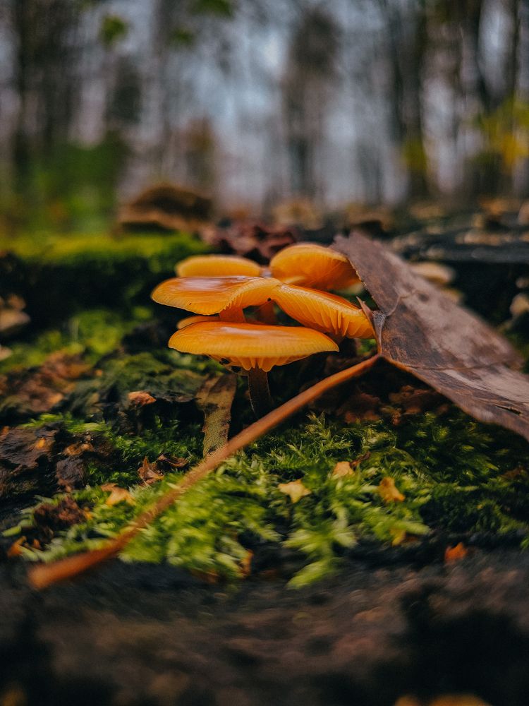 Фотография автора Olga