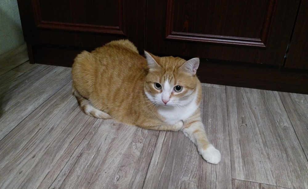 Photo #10897614