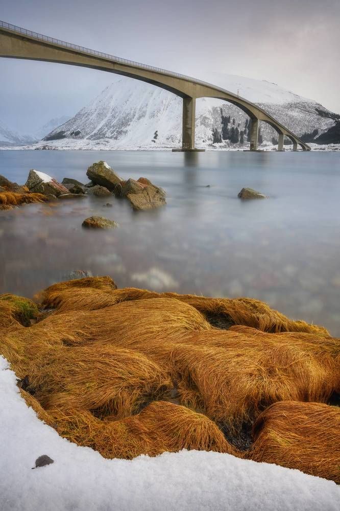 Photograph by Василий Яковлев