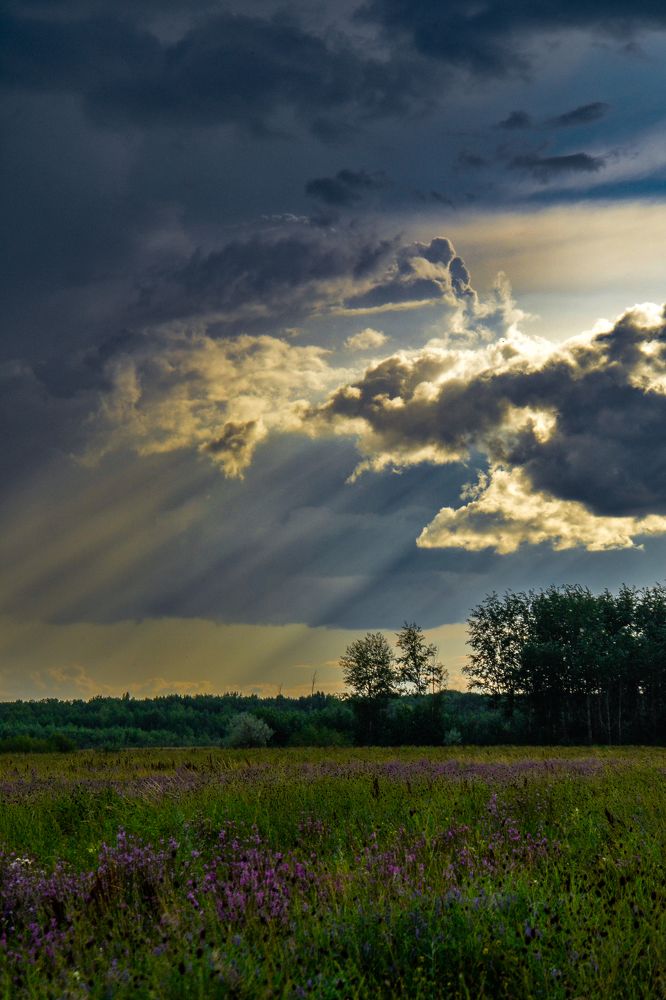 Photograph by Ольга Андронова