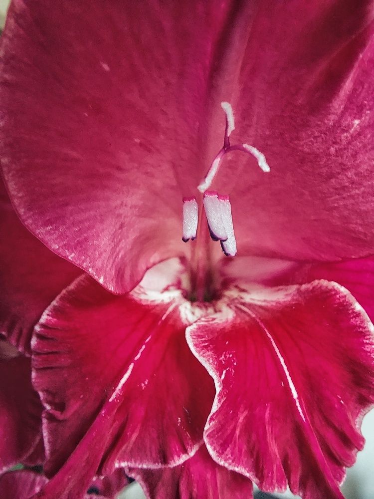 Photograph by Наталия Дроздова