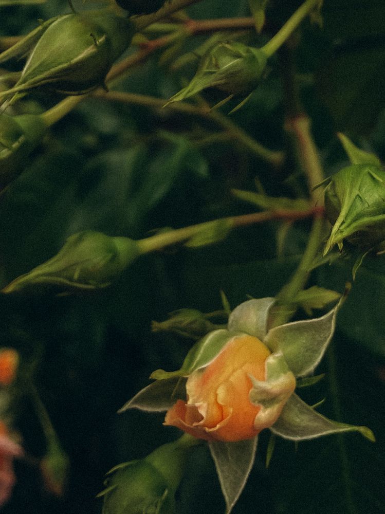 Photograph by Ляйсан Саляхиева