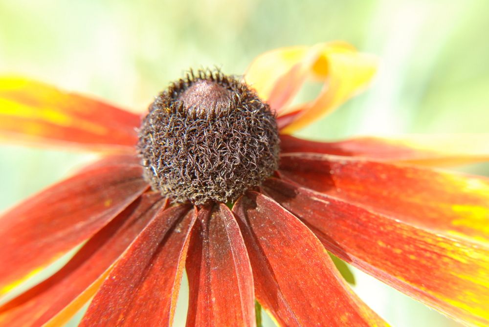 Photograph by Ася Батурина