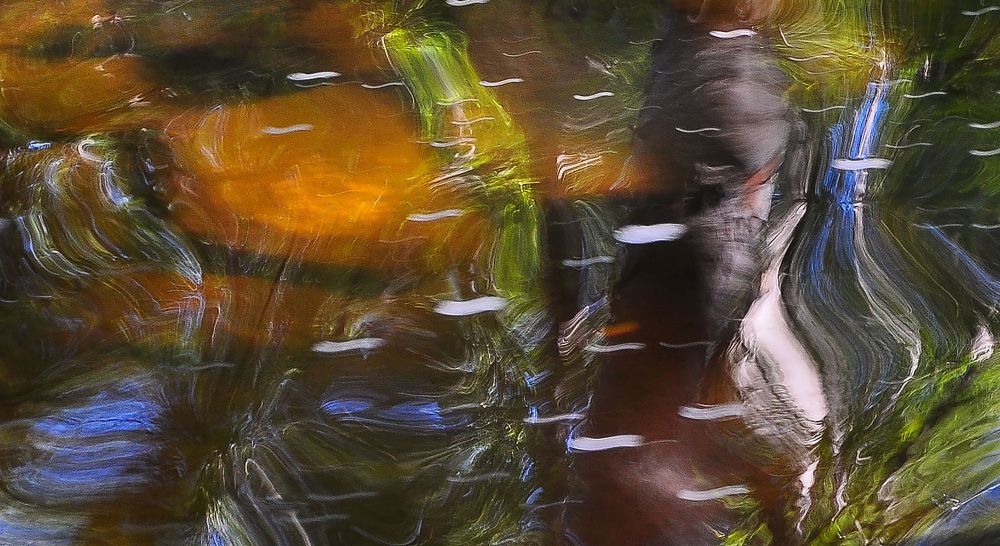 Фотография автора Светлана