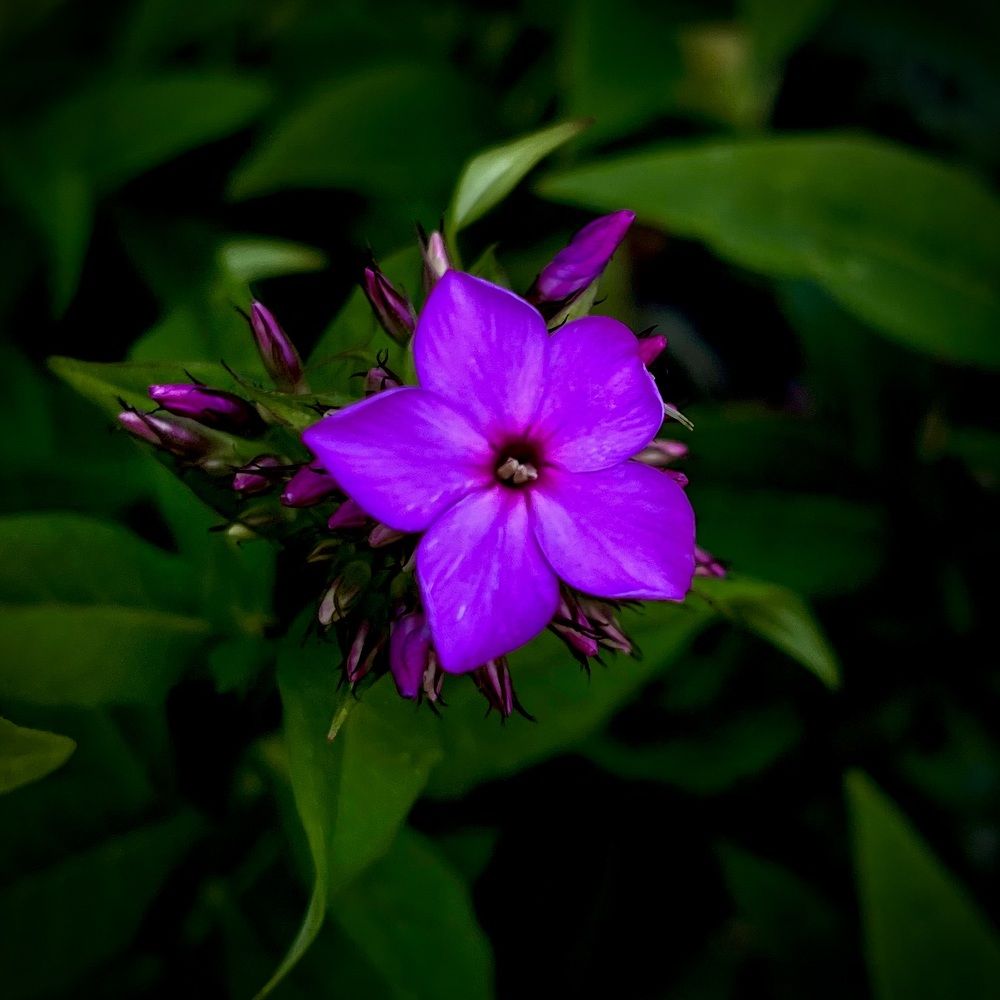 Photograph by Марина Козлова