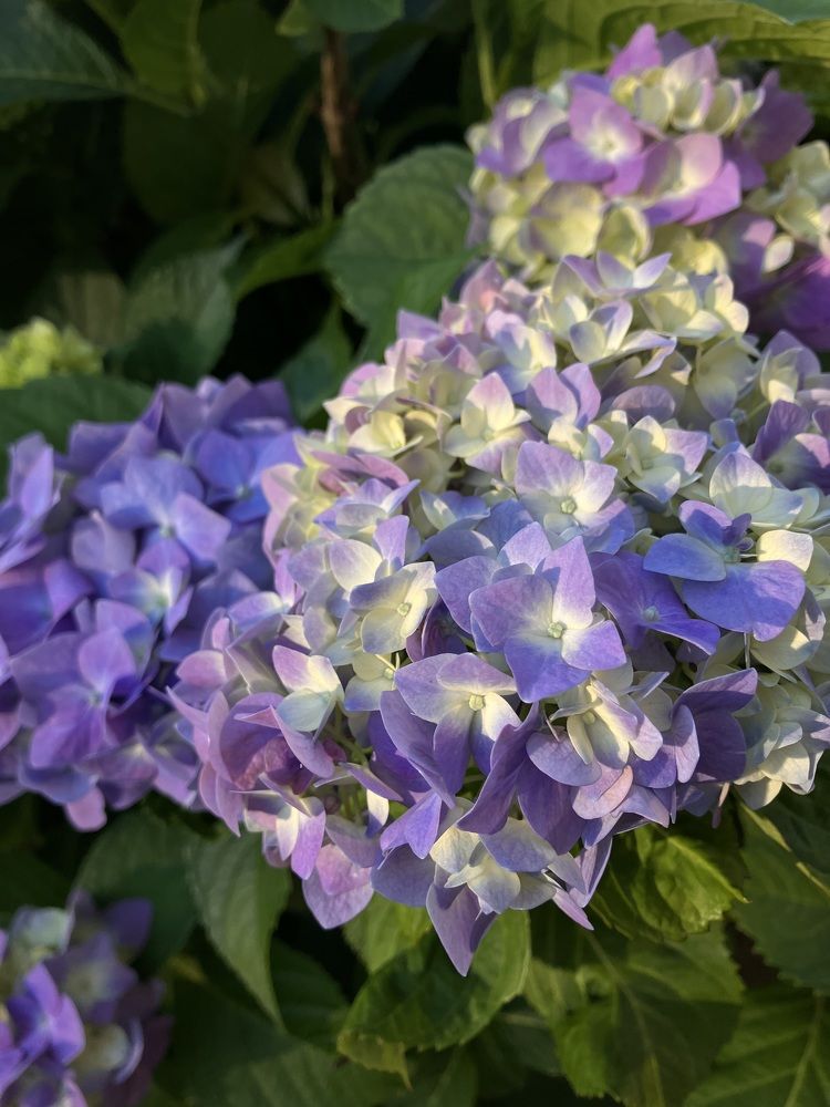 Photograph by Мария Карпычева