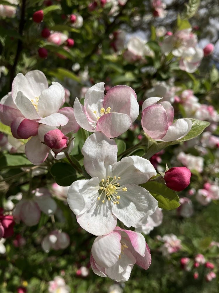 Photograph by Мария Карпычева