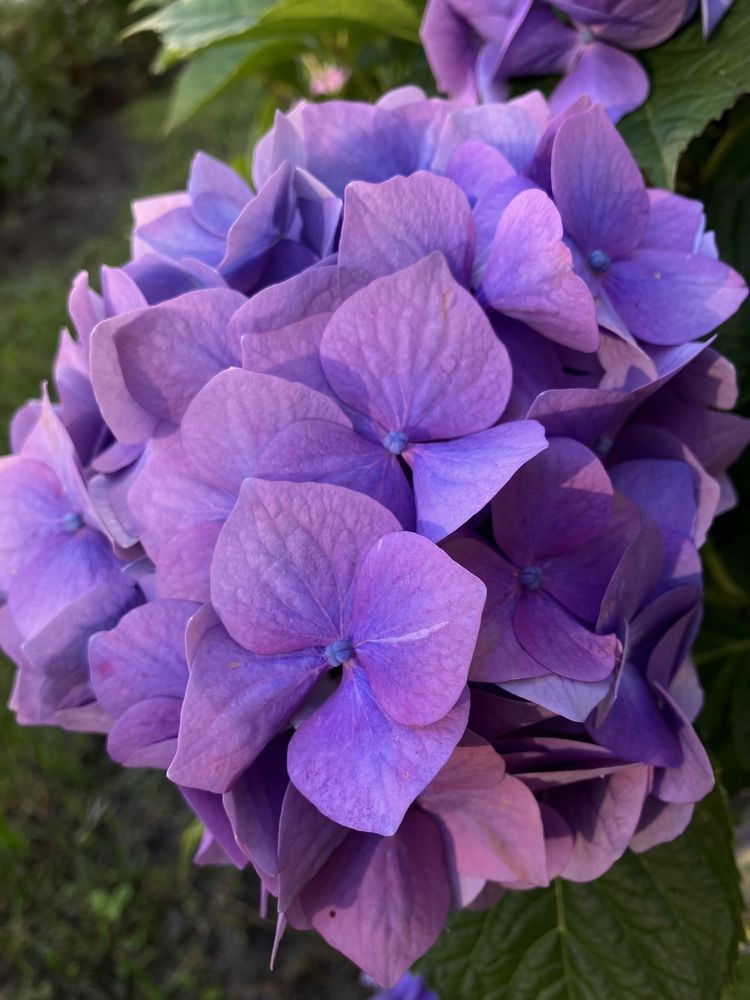 Photograph by Мария Карпычева