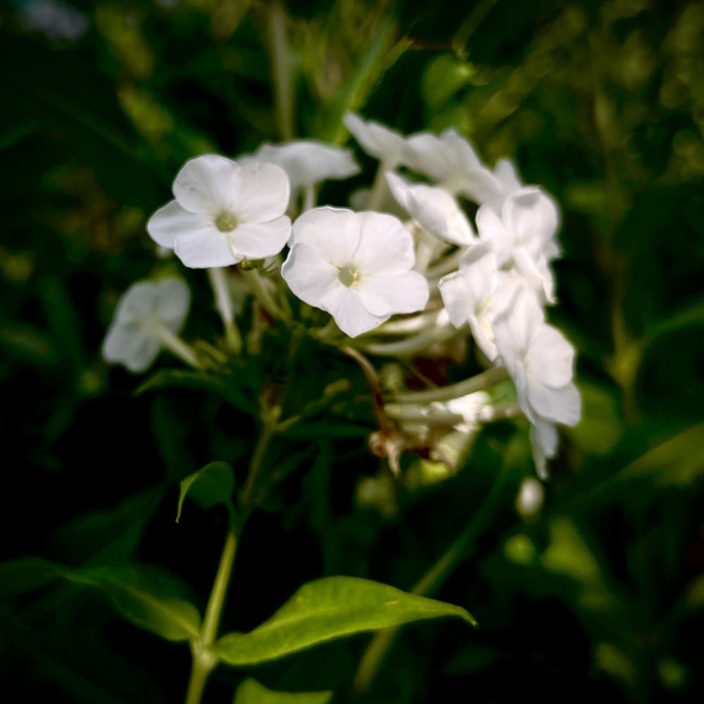 Photograph by Марина Козлова