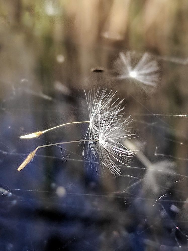 Photograph by Юлия Зинякова