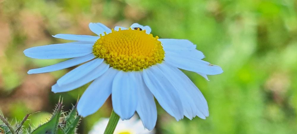 Photograph by SANDRA BOGDANOVIĆ